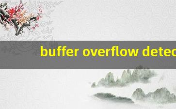 buffer overflow detect